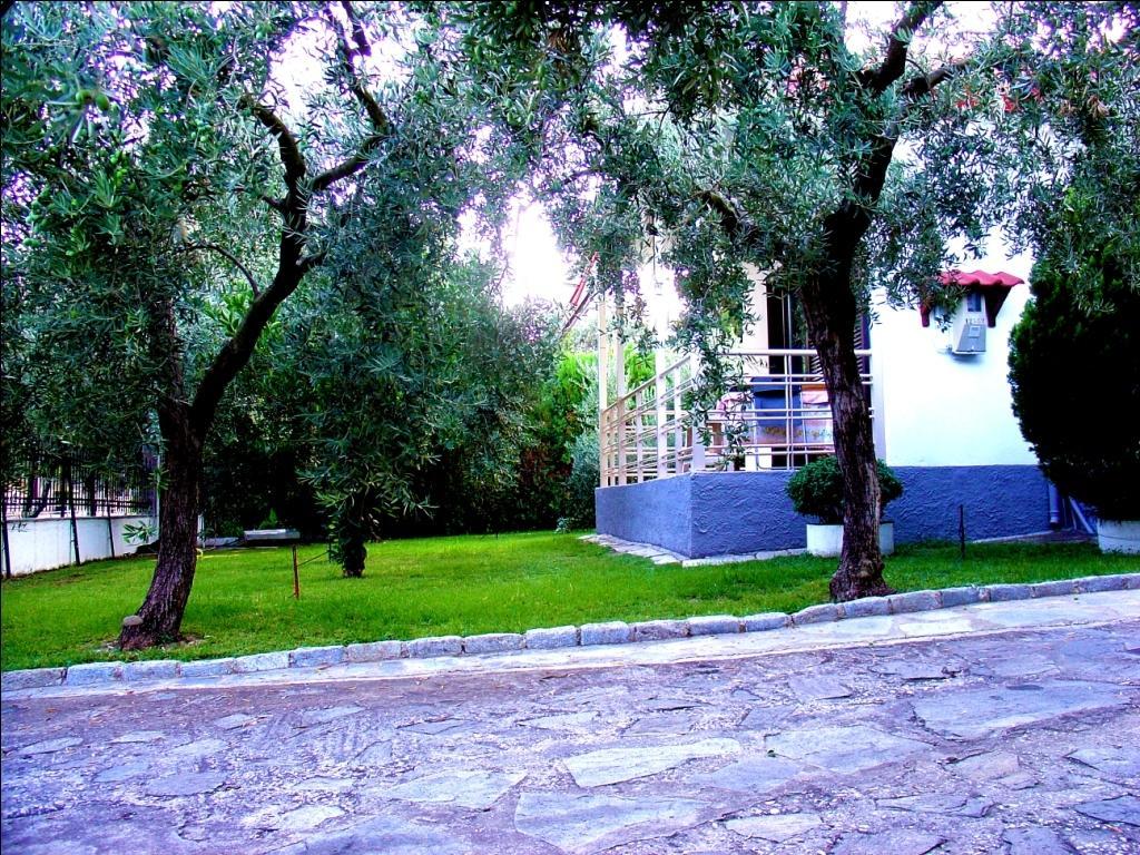 Dimos Bungalows PalaiónTsiflíkion الغرفة الصورة